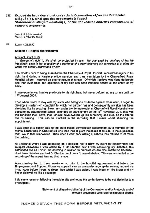 European Court of Human Rights Application Page 4