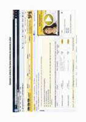 Brothers Ravinder S and Harjinder S Johal pdf